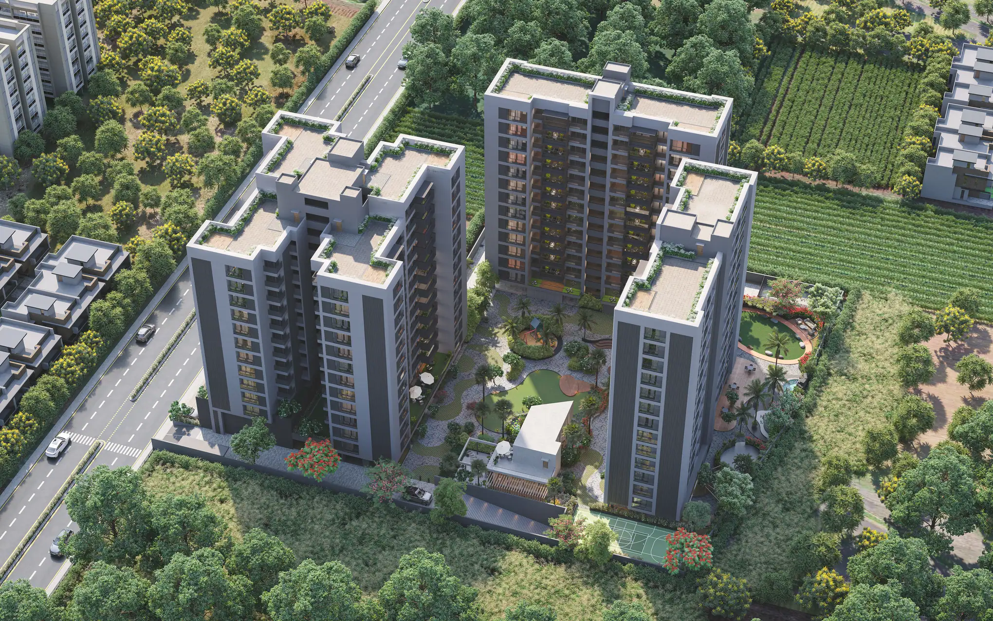 Bird View cc1